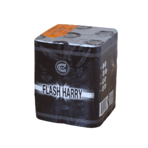 FLASH HARRY